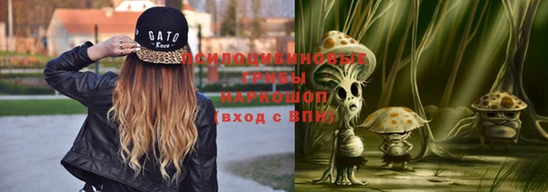 бошки Арсеньев