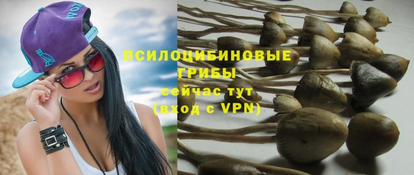 спиды Аркадак