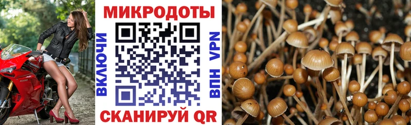 Псилоцибиновые грибы Magic Shrooms  Купить закладки  Сусуман 